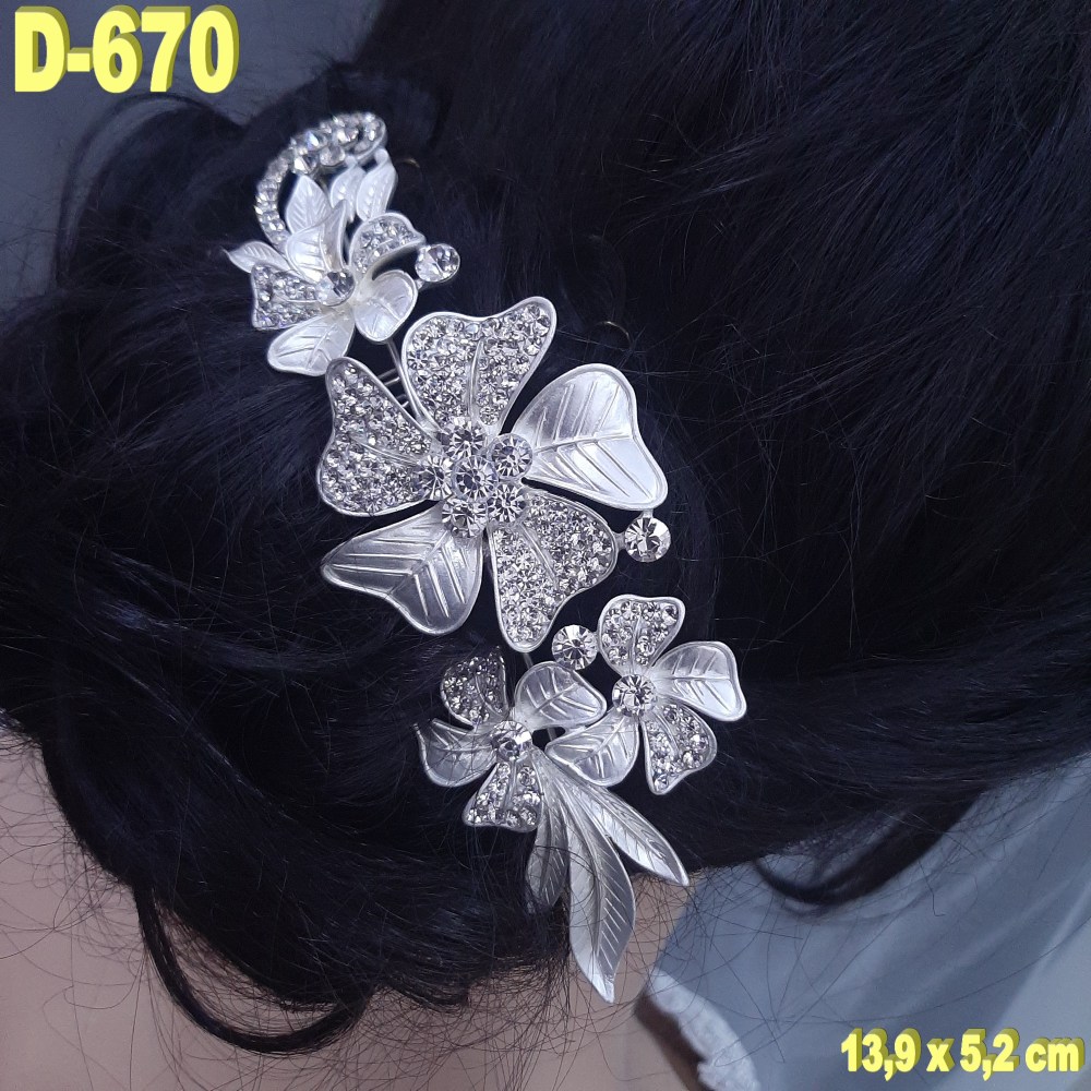 D670 (2)